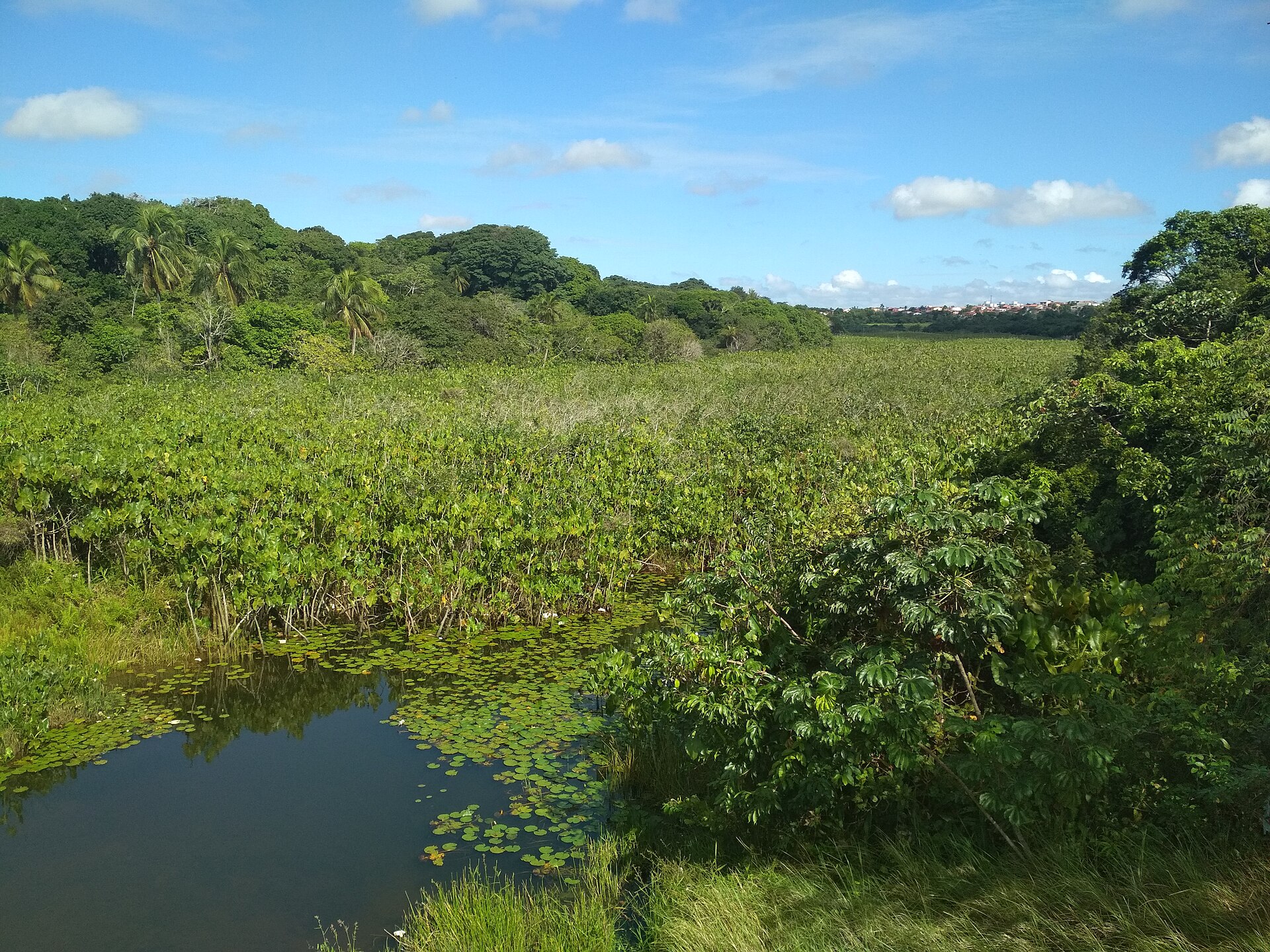 Imagem de referência de Rio Pitimbu, descrito nos dados abertos como rio brasileiro no estado do Rio Grande do Norte