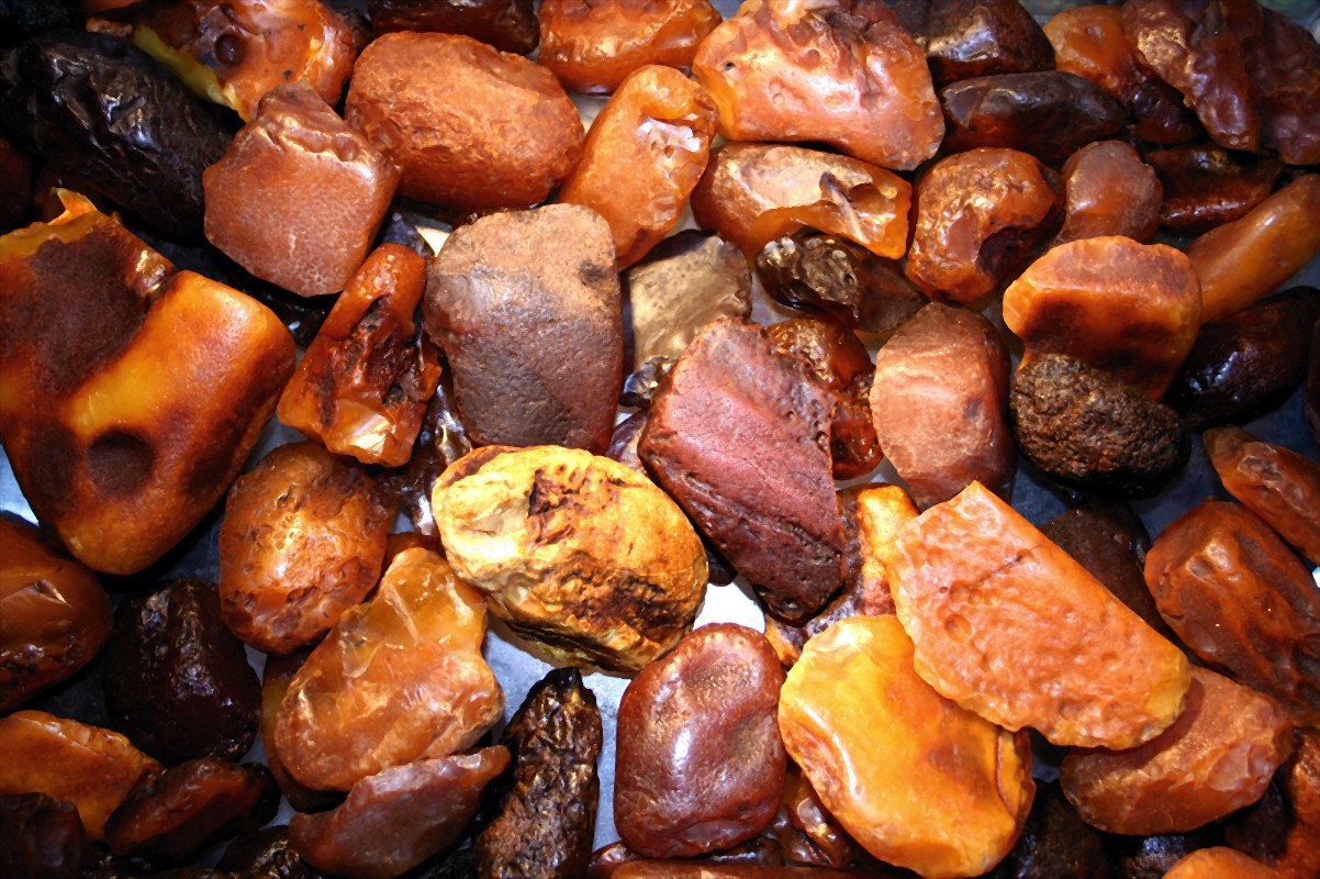 Imagem de referência relacionada a AMBER, item descrito como registro de referência sobre AMBER, organizado a partir de dados estruturados abertos