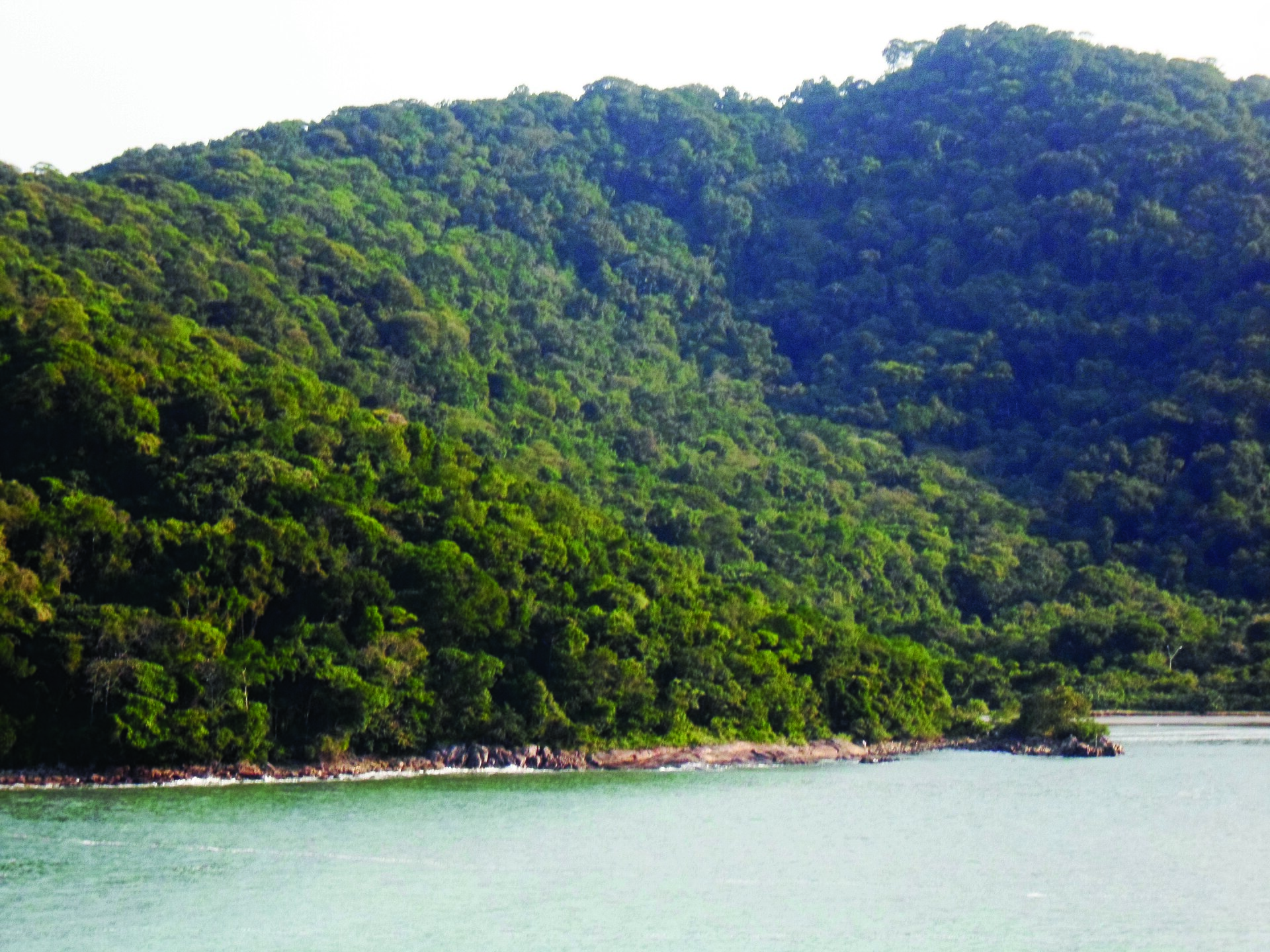 Imagem de referência de Parque Estadual Xixová-Japuí, descrito nos dados abertos como parque Estadual Xixová-Japuí de nível Estadual, localizado (a) em São Vicente (SP), Praia Grande (SP)