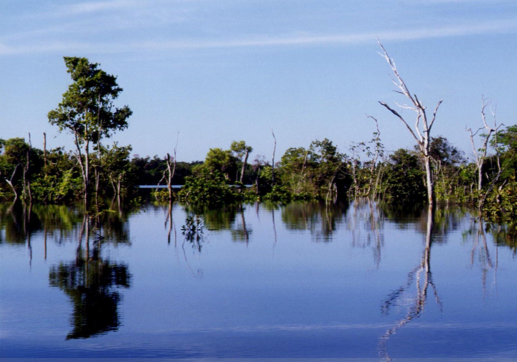 Imagem de referência de Eirunepé, descrito nos dados abertos como município brasileiro do estado do Amazonas