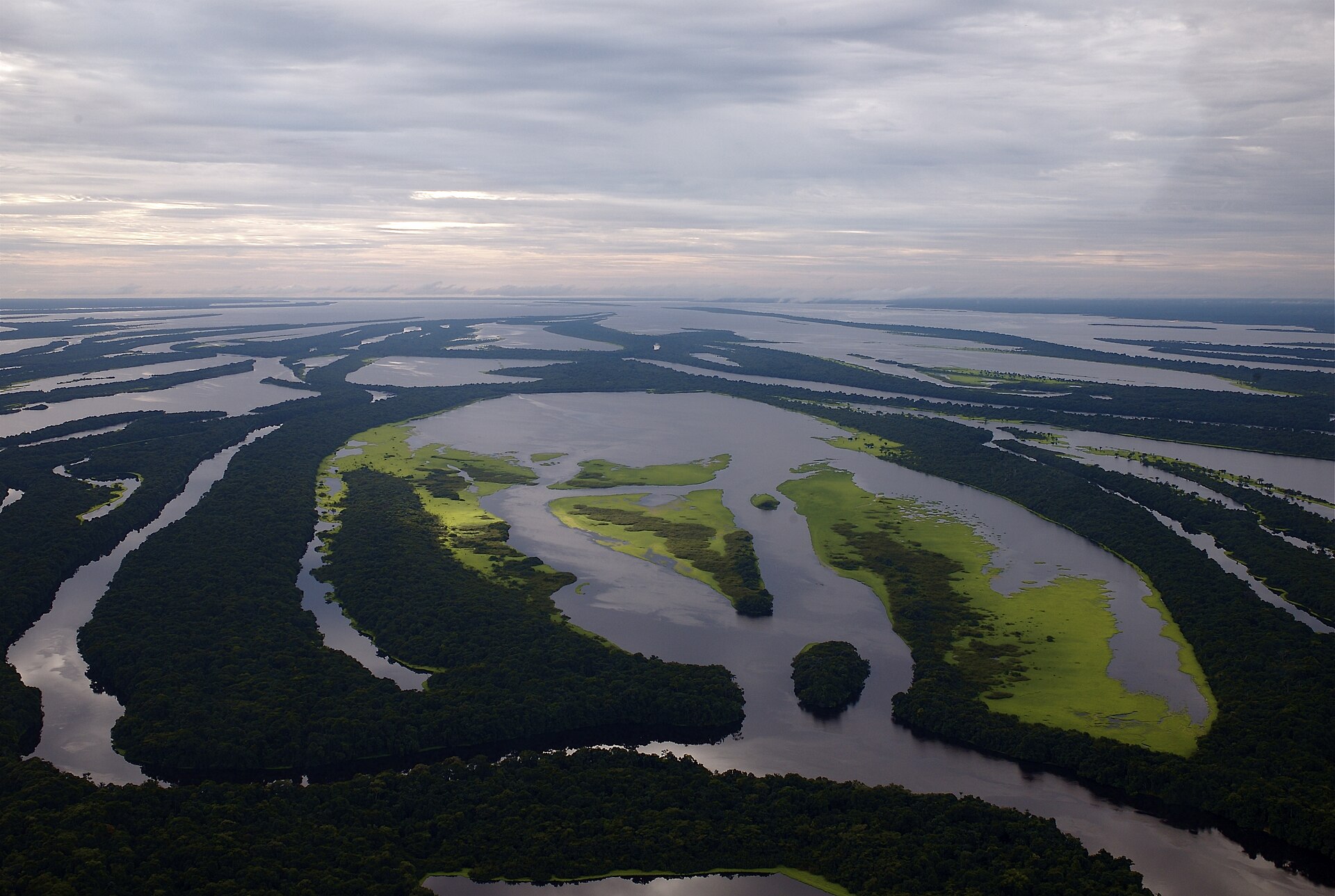 Imagem de referência de Parque Nacional de Anavilhanas, descrito nos dados abertos como parque Nacional de Anavilhanas de nível Federal, localizado (a) em Novo Airão (AM), Manaus (AM)