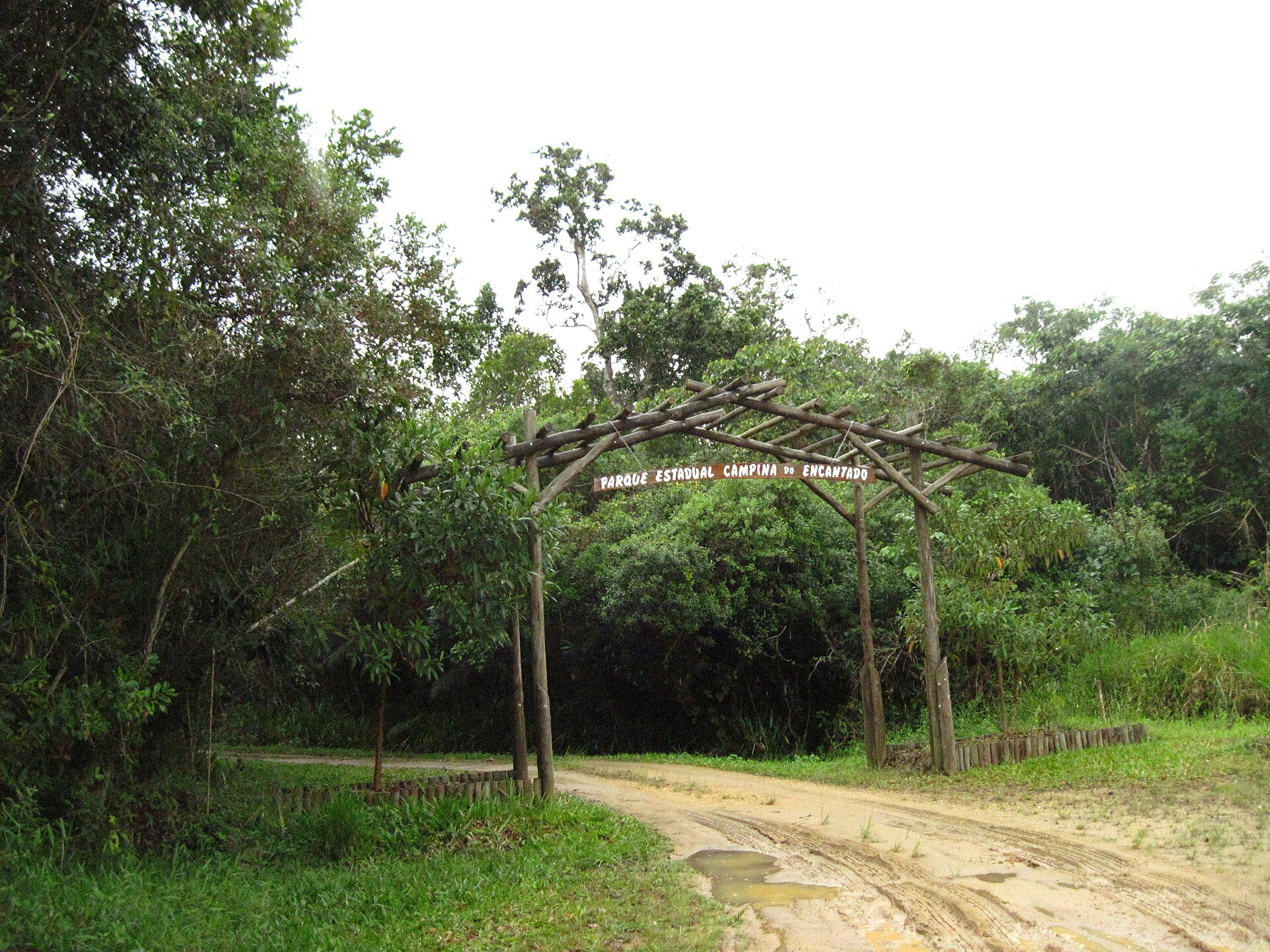 Imagem de referência de Parque Estadual Campina do Encantado, descrito nos dados abertos como parque Estadual Campina do Encantado de nível Estadual, localizado (a) em Pariquera-Açu (SP)