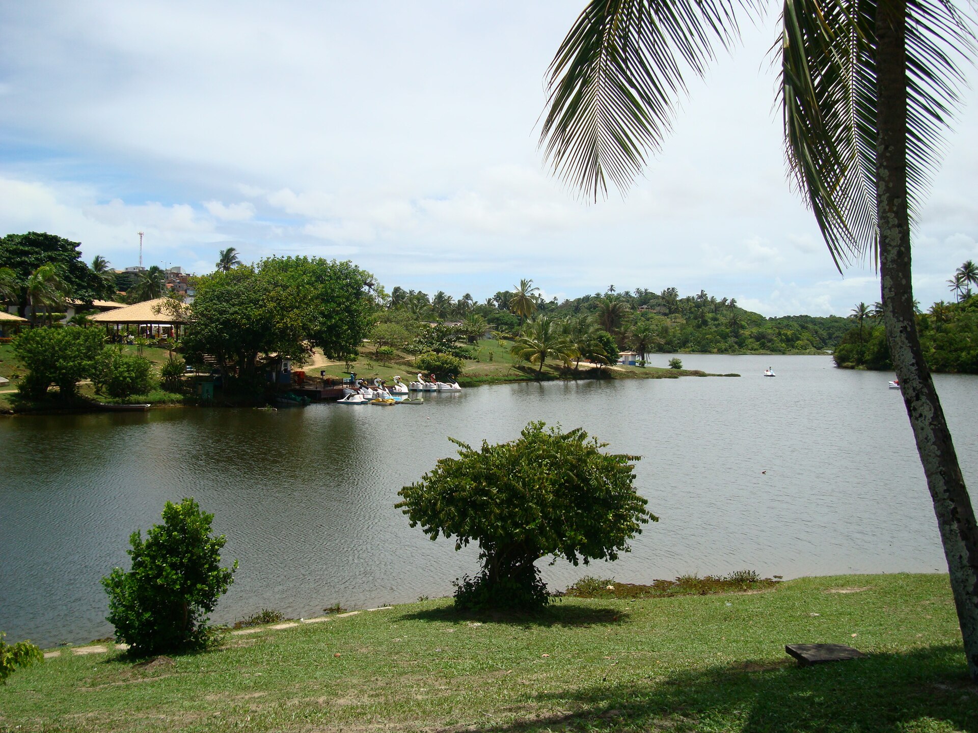 Imagem de referência de Lagoa de Pituaçu, descrito nos dados abertos como corpo d'água em Salvador, Brasil