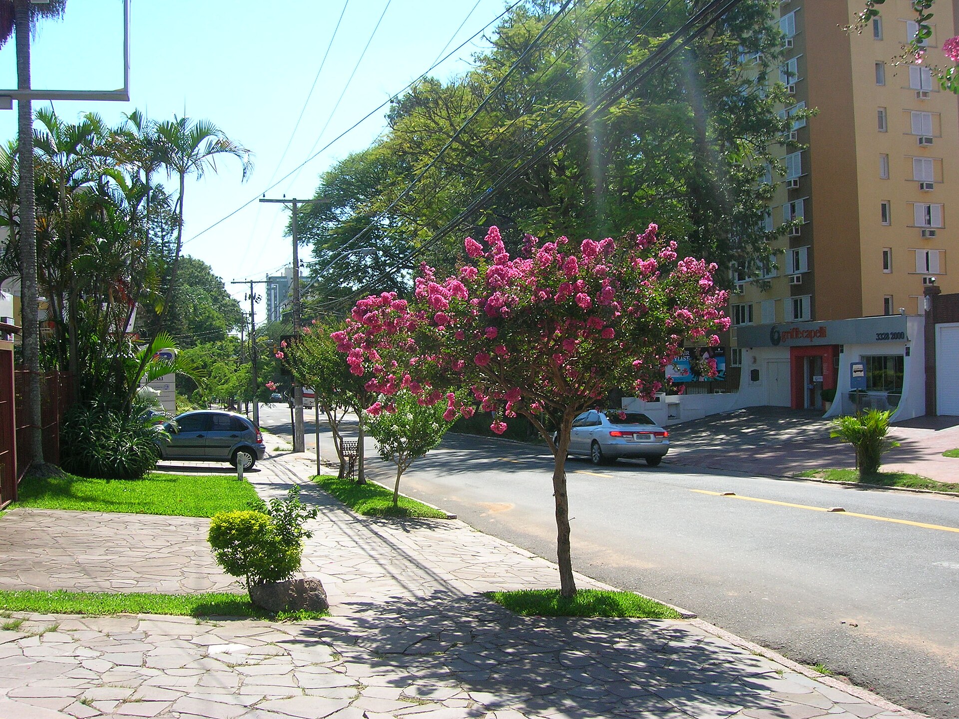 Imagem de referência de Boa Vista (Porto Alegre), descrito nos dados abertos como bairro do Porto Alegre, Rio Grande do Sul, Brasil