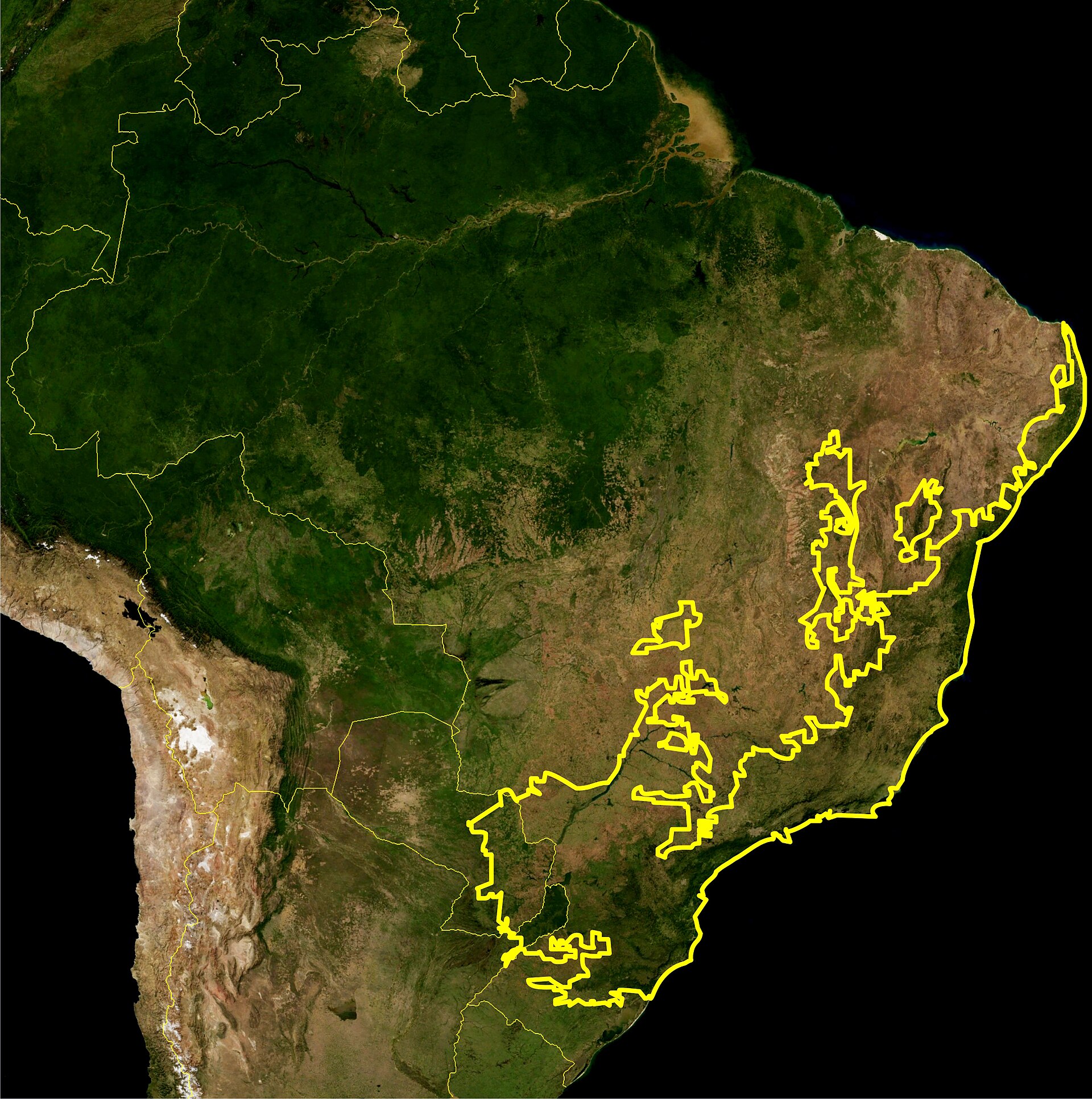Imagem de referência de Mata Atlântica, descrito nos dados abertos como bioma da América do Sul de floresta tropical