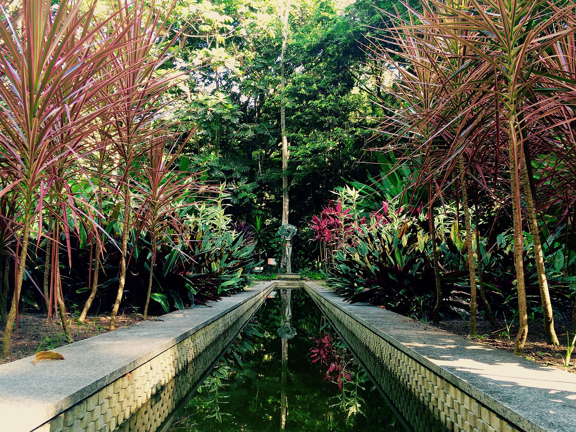 Imagem de referência relacionada a Jardim Botânico do Recife, item descrito como jardim botânico da cidade do Recife