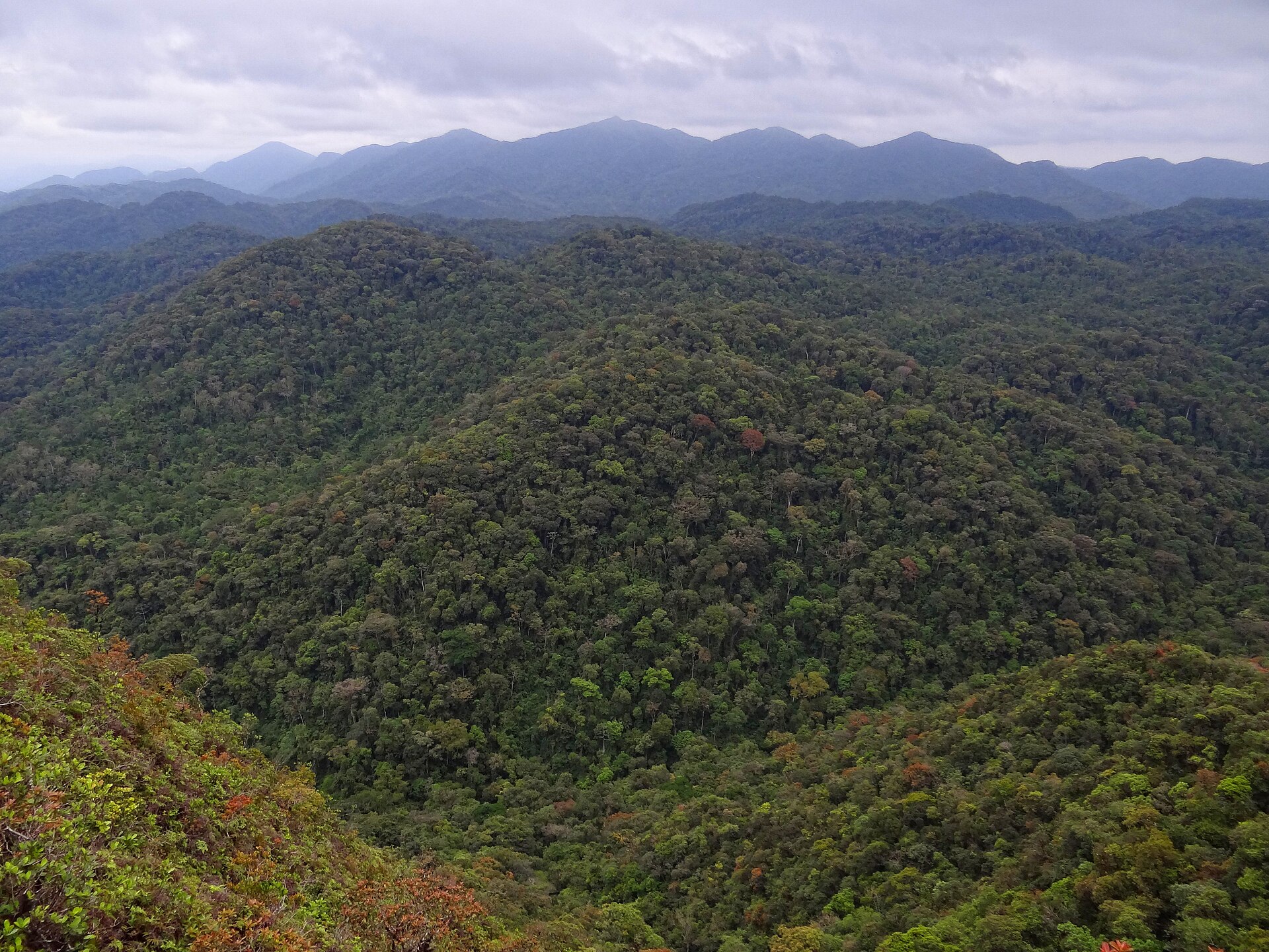 Imagem de referência de Reservas de Mata Atlântica do Sudeste, descrito nos dados abertos como reserva natural no Brasil