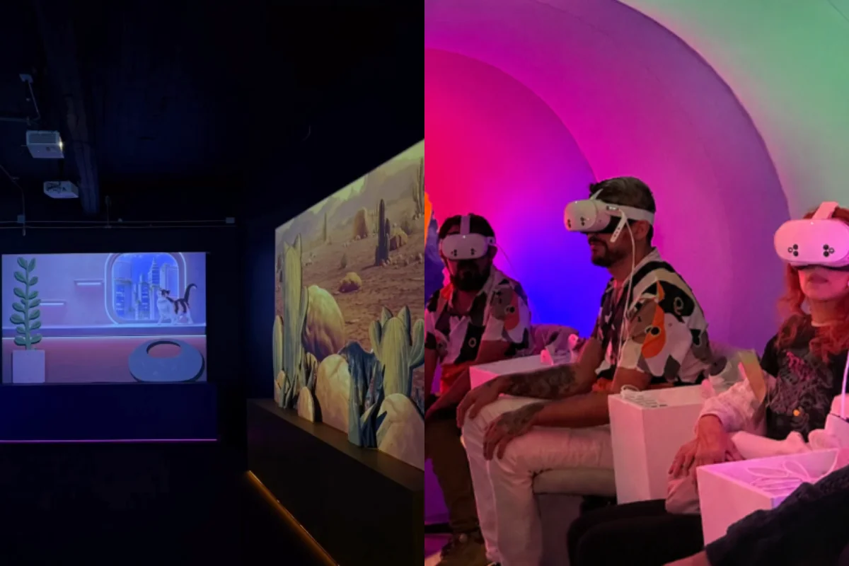 Conheça o museu que convida visitantes a explorar o mundo como um gato
