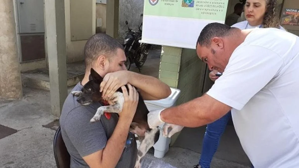BH terá dois pontos extras para vacinação de cães e gatos contra a raiva