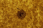 “Tubarão cósmico” vence concurso de melhor foto de astronomia de 2026; veja a imagem