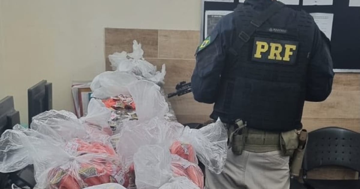 PRF prende homem com 3 mil pedras de crack e 500 pinos de cocaína na Via Dutra, em Volta Redonda (RJ)