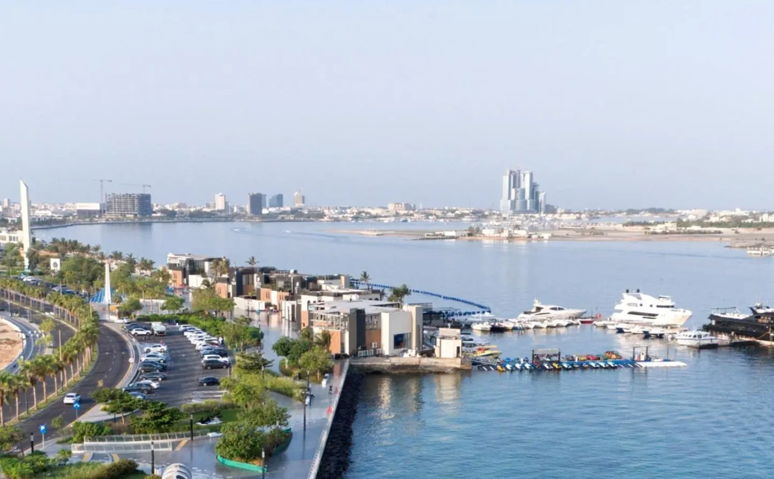Somália reafirma apoio à soberania palestina na Assembleia Geral da ONU