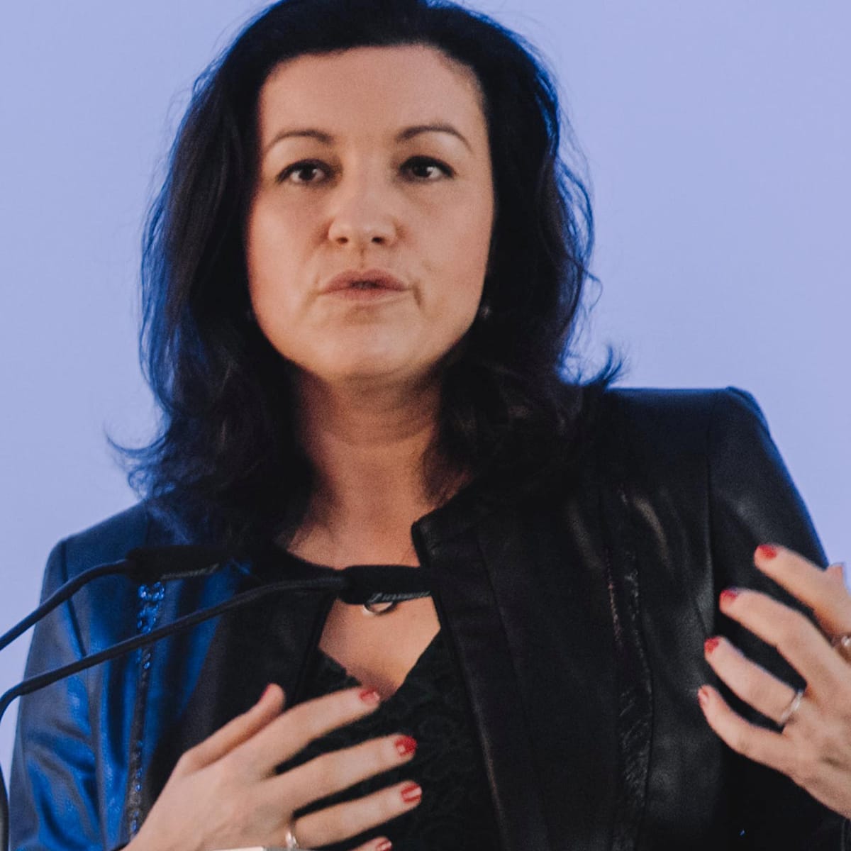 Sachsen-Anhalt: Bär adverte contra "grande dano" causado pela AfD e anuncia rede de apoio